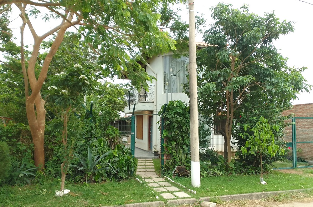 The House